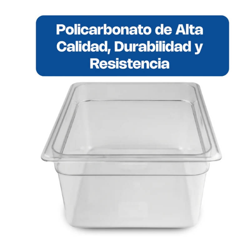 INPOME-6 CALEDONIA Inserto Medio 6" / 8 Litros de Policarbonato 32 x 26 x 15.24 cm - Imagen 2