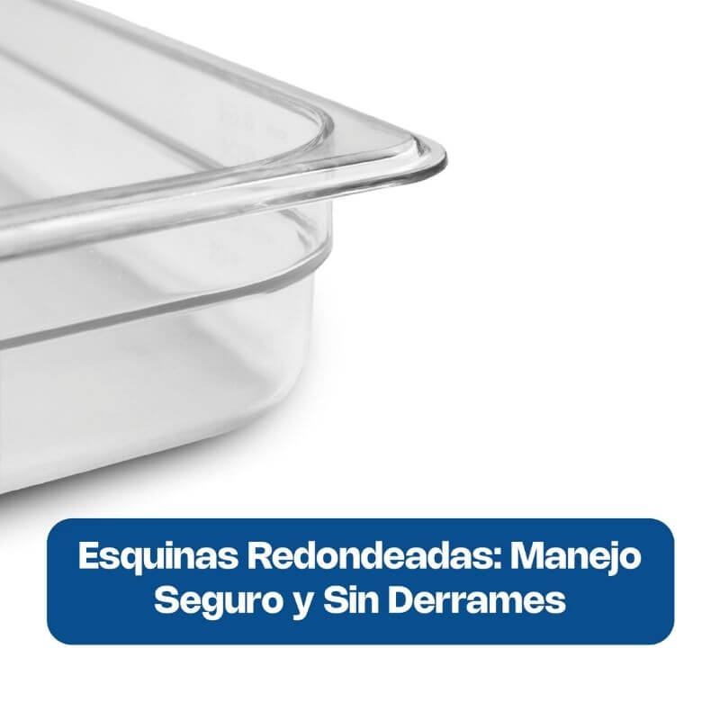 INPOE-2.5 CALEDONIA Inserto Entero 2.5" / 9 Litros de Policarbonato 53 x 33 x 6.35 cm - Imagen 3