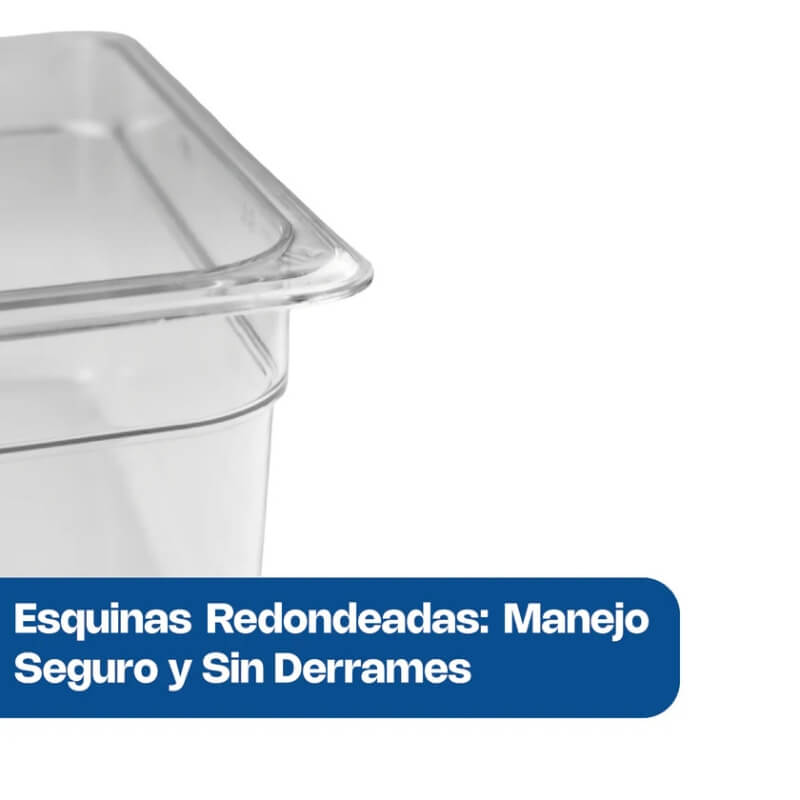 INPOME-6 CALEDONIA Inserto Medio 6" / 8 Litros de Policarbonato 32 x 26 x 15.24 cm - Imagen 3