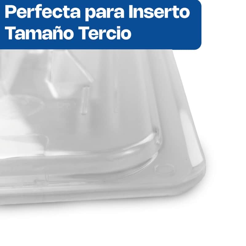 TATEPO-COM CALEDONIA Tapa de Inserto Tercio de Policarbonato 32 x 17 x 1 cm - Imagen 3
