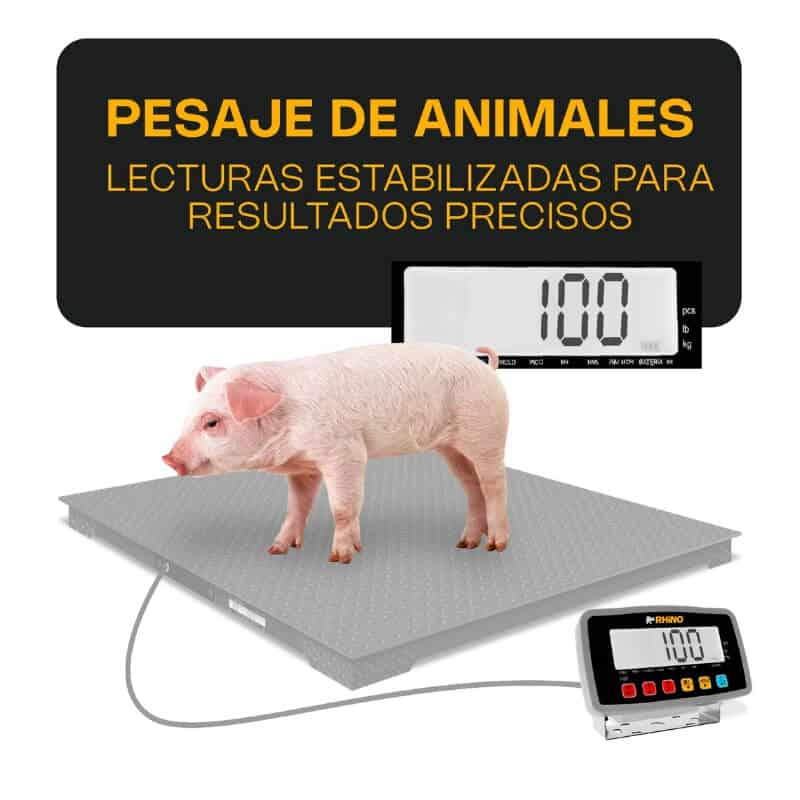 I-QY RHINO Indicador para Plataforma Contador con Puerto USB y RS-232 - Imagen 4