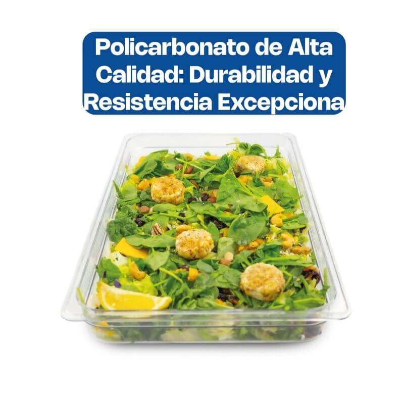 INPOE-2.5 CALEDONIA Inserto Entero 2.5" / 9 Litros de Policarbonato 53 x 33 x 6.35 cm - Imagen 5