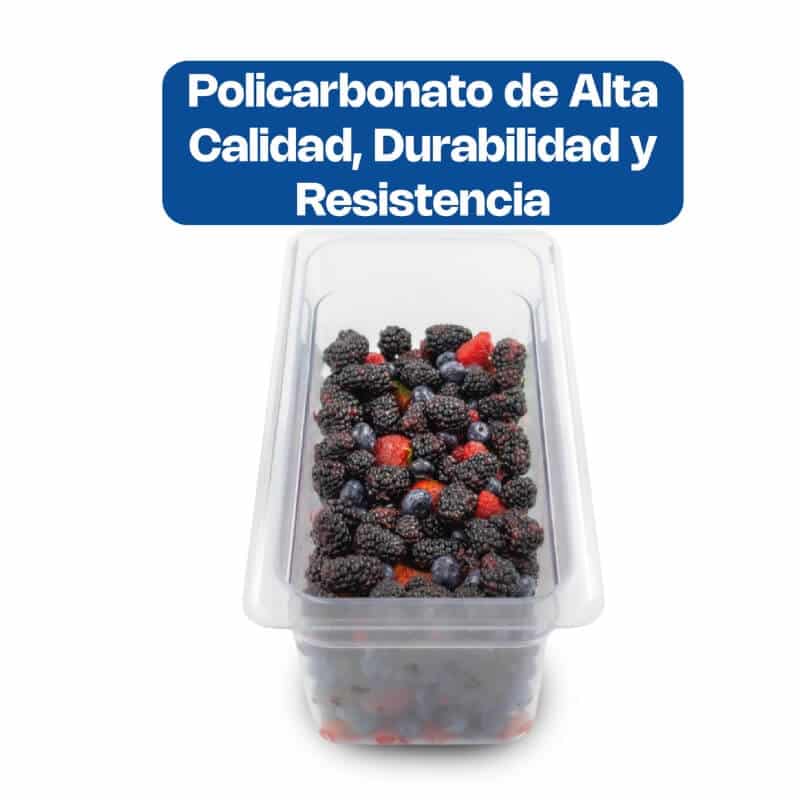 INPOCU-4 CALEDONIA Inserto Cuarto 4" / 2.6 Litros de Policarbonato 26 x 16 x 10.16 cm - Imagen 5